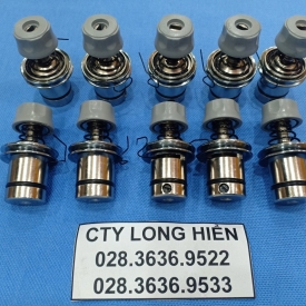 ĐỒNG TIỀN CHÍNH